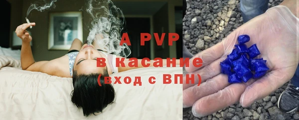 гидра Аркадак